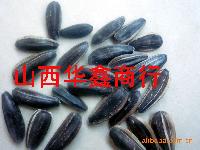 星火葵花 星火葵花價格 報價 星火葵花品牌廠家