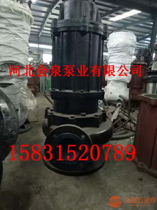 zjq46 11 4潛水渣漿泵