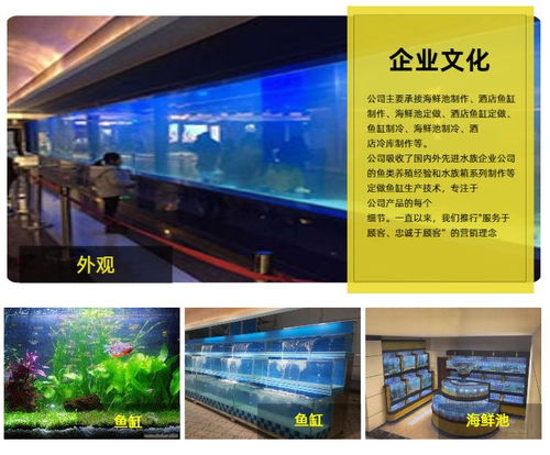 武漢欣璽匯商貿公司 海鮮池魚缸定制 新洲海鮮池